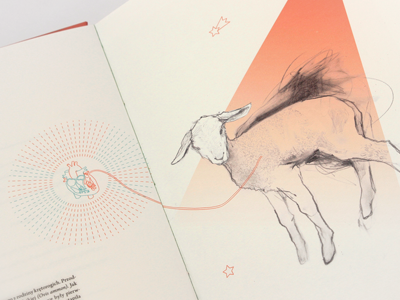 Atlas of animals book design editorial design illustration