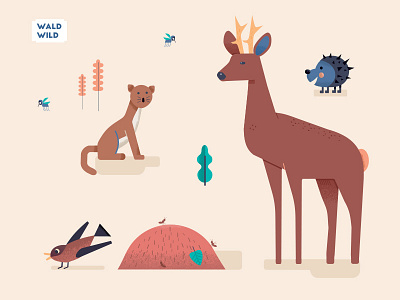 Alle W Dribb 5 animals forest illustration jamie wild wood