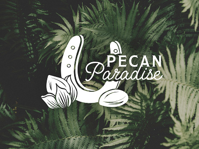 Logo Design, Pecan Paradise branding design design florida graphic design graphicdesign logo logodesign vector