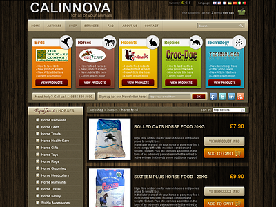 Calinnova web site design