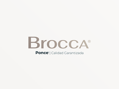 Brocca - Logo proposal