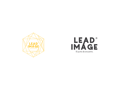 LEAD IMAGE — Logotype branding design icon illustration lead logo logo design logotype minimal vector