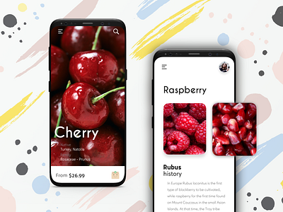 Fruits App app app concept color concept dashboard design design app fruits inspiration iphone mobile style ui ui design