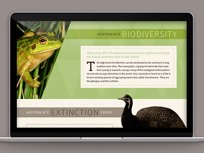 Aussieland Website 1 aboriginal angles animals australia extinction pattern web zoo