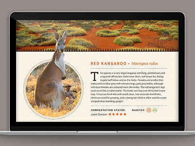 Aussieland Website 5 aboriginal australia biome desert habitat kangaroo web