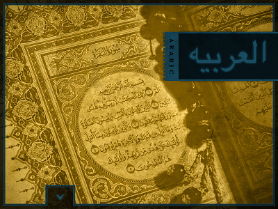 Lexicon: Writing Through the Ages (Arabic) app arabic bookmark ipad mobile typography uxui