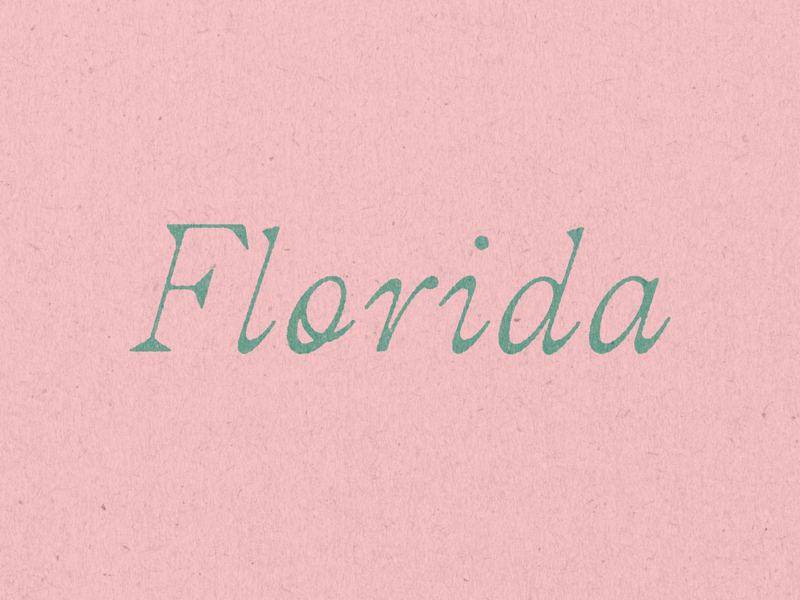 Florida by Bob Ewing on Dribbble