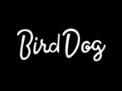 Bird Dog Logo - WIP lettering