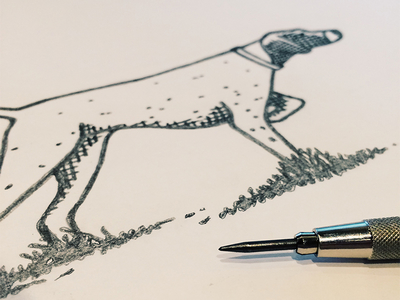 Bird Dog Final Sketch bird dog branding drawing sketching