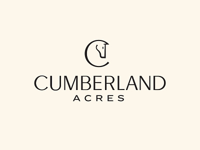Cumberland Acres Branding branding equestrian handlettering handtype hashtaglettering horse lettering logo
