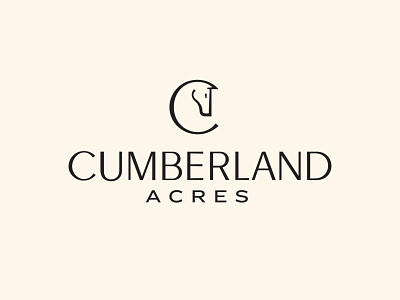 Cumberland Acres Branding branding equestrian handlettering handtype hashtaglettering horse lettering logo