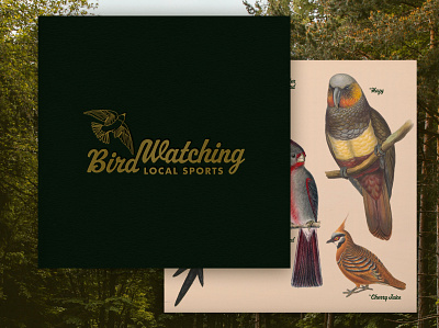 Local Sports — Birdwatching birds birdwatching futura local sports