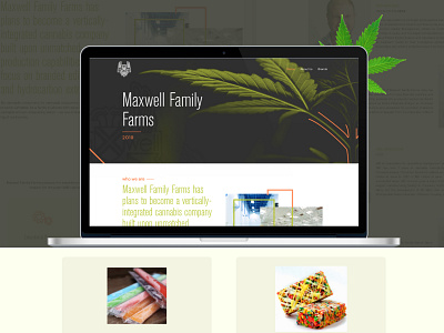 Website design for Cannabis extraction & processing