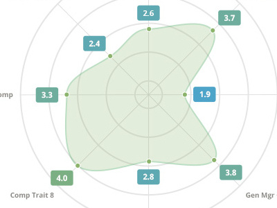 Radar Graph Visualization web app web design