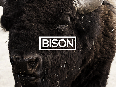 Bison logo