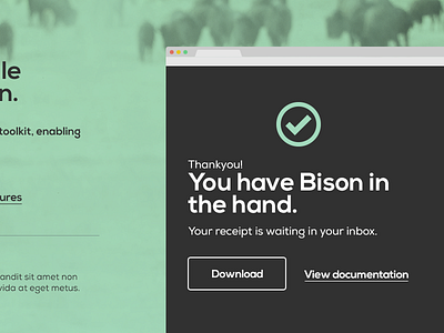 Bison order confirmation confirmation ecommerce statamic ui