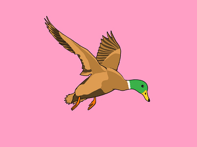 Duck art bird design fly illustation illustrator logo picture