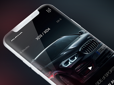 Alpina web design mobile concept