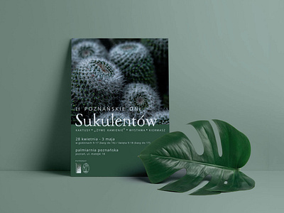 Poznańskie Dni Sukulentów cactus flyer flyer design green plants poster poster design succulents