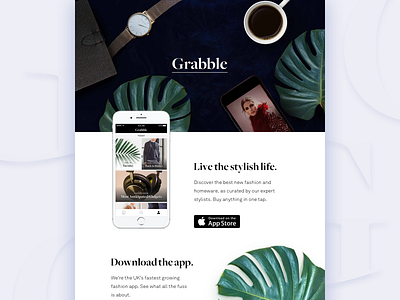 Hello Dribbble app download fashion fern iphone marketing plants still life website