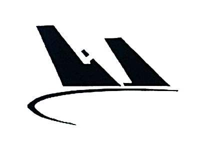 Dena Airlines_4 logo typogaphy