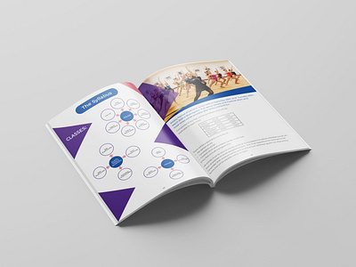 Brochure Design