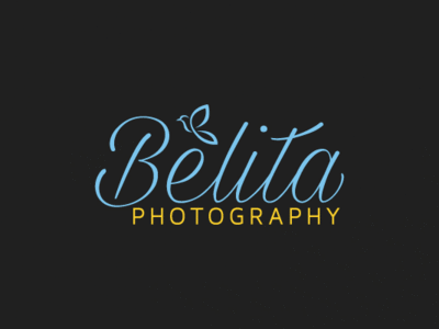 Photography Logo bird logo graphicdesign logo logodesign photography photography logo