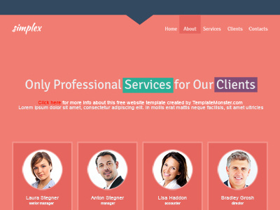 Free Single Page Website Template For Business Site css3 free free business theme freebie html5 jquery