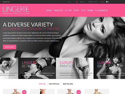 Elegant, Playful, Lingerie Web Design for a Company by pb