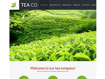Tea Shop HTML Template html moto cms shop tea template theme