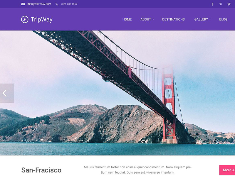 Travel Agency Responsive WordPress Theme.