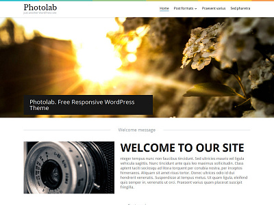 Photolab Free WordPress Theme free template phography website wordpress theme