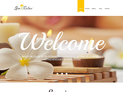 Spa Accessories Responsive WordPress Theme beauty massage spa salon template wordpress theme