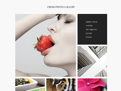 Professional Photographer Joomla Template art joomla template photography theme