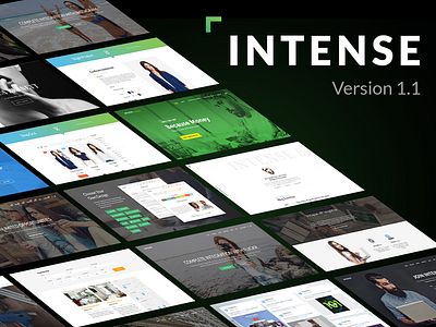 Intense Update 1.1: Web Design Perfection Has No Bounds