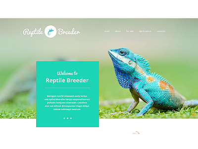 40% OFF for a Reptile Breeder Website Template #54811 html html5 pets reptile snakes zoo