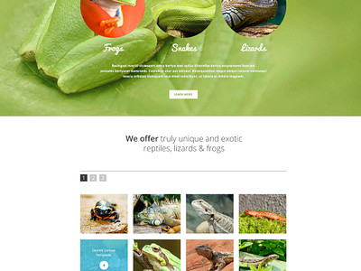 40% OFF for a Reptile Breeder Website Template #54811 by ...