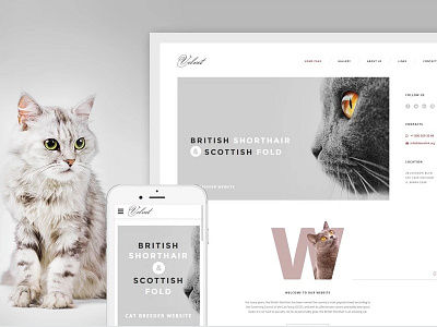 Cat Responsive Website Template animal pet pet shop responsive web design