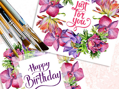 Mix of Flowers PNG Watercolor Set Illustration