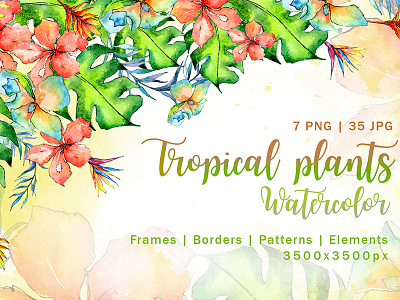 Tropical Plant PNG Watercolor Set Illustration blogs greetingcards illustration invitations png posters quotes set watercolor webdesign webtemplate wedding