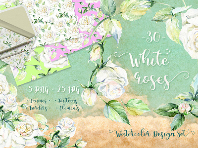 Delicate White Roses PNG Watercolor Set Illustration art design illustration png roses set watercolor webtemplate