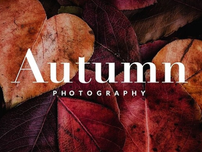 Free Autumn Lightroom Preset design freelightroom lightroom lightroompreset photo preset