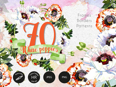 White Poppies PNG Watercolor Set Illustration borders design frames illustration patterns png watercolor webdesign