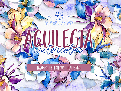 Beautiful Aquilegia PNG Watercolor Set Illustration