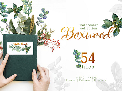 Green Watercolor Boxwood png Illustration