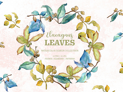 Elaeagnus Leaves Watercolor png Illustration design illustration png watercolor watercolor bundle webdesign