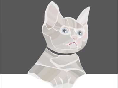 Kitty Logo Template #84900 template website webdesign logos logo design logodesign logo