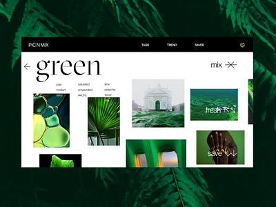 Photography Color Moodboards Site