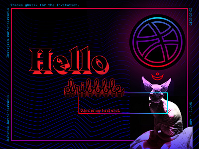 Hello Dribbble! cat design dribbble firstshot hello hellodribbble illustration sphynx typography