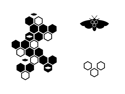 Moth black and white branding design flat design hexagons honeycomb icon icon set illustration illustrator logo moth vector